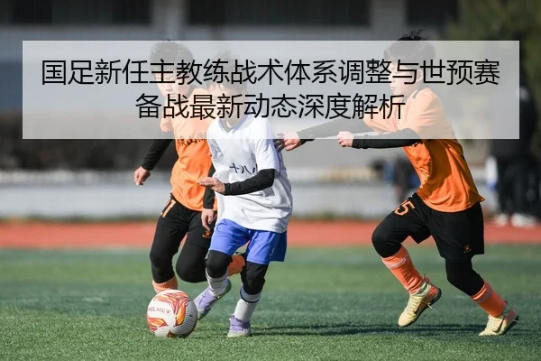 国足新任主教练战术体系调整与世预赛备战最新动态深度解析